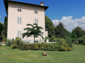 La cantina di Tonino